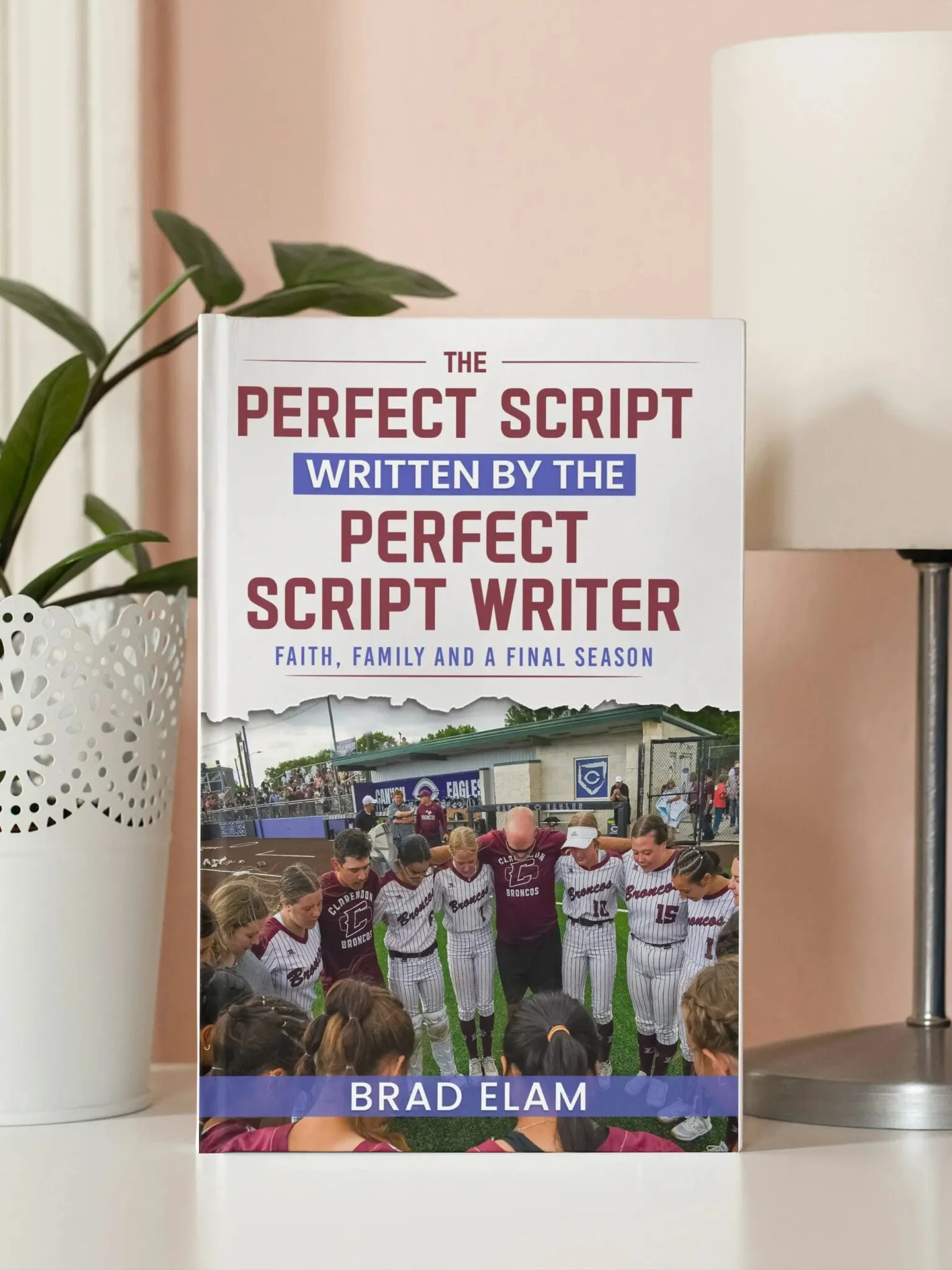 the perfect script 2